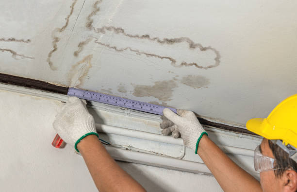Reliable Water Damage contractor in Scottville, MI by Water Damage Irwin